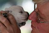 ADULTE ET CHIEN 389